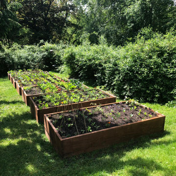 Laura's Raised Beds