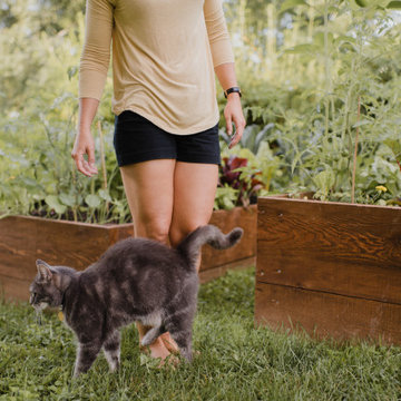 Laura's Raised Beds