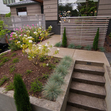 Laurelhurst Modern Garden