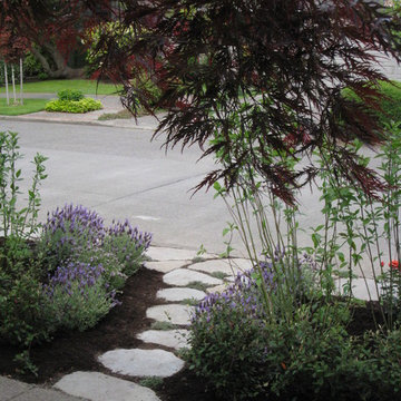 Laurelhurst Residential