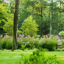 Alpharetta Backyard