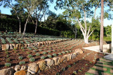 Photo of a large contemporary drought-tolerant and partial sun hillside mulch landscaping in Santa Barbara.