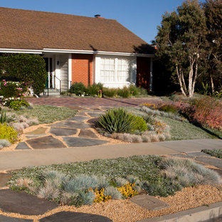 Foto di un giardino xeriscape minimal davanti casa