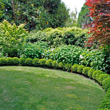 Lawn and Buxus Border