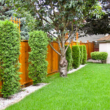 Lawn and Garden