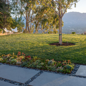 Lawn area with views, succulents, tree and concrete pavers