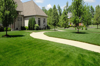 Свежая идея для дизайна: участок и сад среднего размера на переднем дворе - отличное фото интерьера