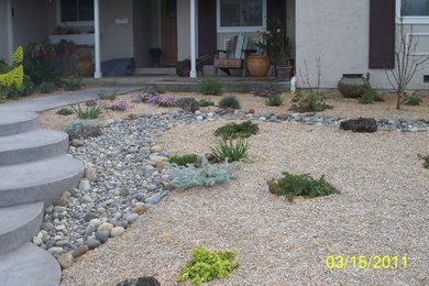 This is an example of a traditional landscaping in San Francisco.