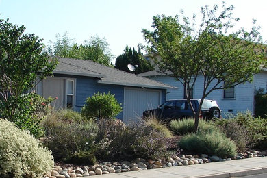 Inspiration for a mid-sized contemporary drought-tolerant and full sun front yard gravel landscaping in Other.