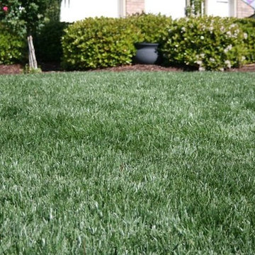 Lawn Maintenance and Installation