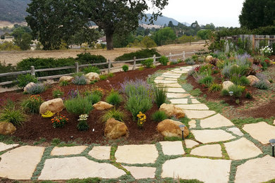 サンタバーバラにある高級な巨大な、春のコンテンポラリースタイルのおしゃれな裏庭 (ゼリスケープ、庭への小道、日向、天然石敷き) の写真