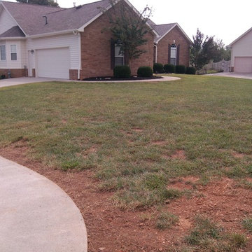 Lawn Restoration and Grass In Problem Areas