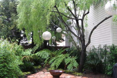 サンフランシスコにあるコンテンポラリースタイルのおしゃれな庭 (ファイヤーピット、半日向) の写真