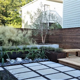 Inspiration for a small contemporary drought-tolerant and full sun backyard landscaping in Houston.
