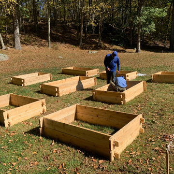 Laying out a vegetable garden