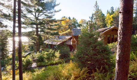 Sublime Coastal Woods Gain a Healthy New Foothold in Maine