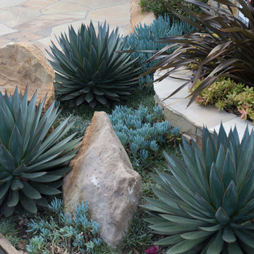 Leucadia Coastal Design & Installation