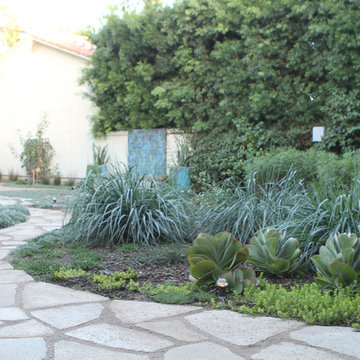 Leymus and Succulents make an attractive blue-gray border