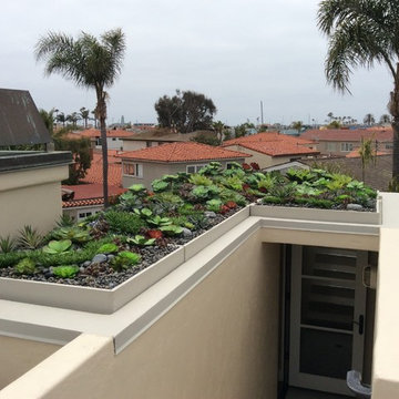 Lido Rooftop Succulent Garden