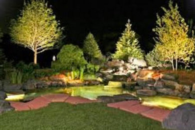Design ideas for a medium sized back full sun garden in Denver with a garden path and brick paving.