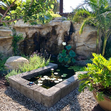 Lily Pond - Backyards with Water Features & Pools