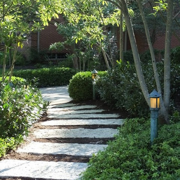 Limestone path from front walkway to driveway through sweetbay magnolias