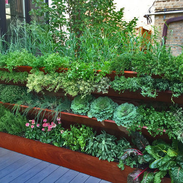 Lincoln Park Herb Wall