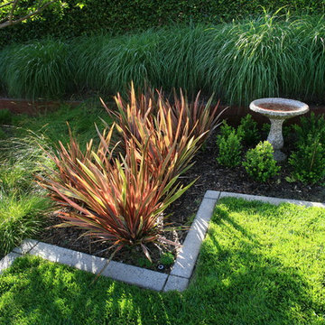 Lisa Cox Landscape Design