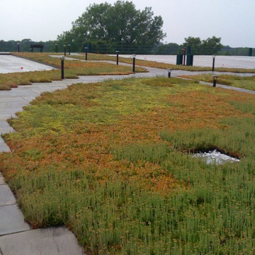 LiveRoof Green Roofs
