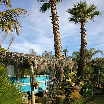 Livin' Cheap in Baja