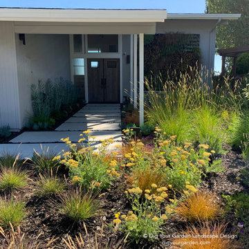 Living Green Wall and Landscape Remodel - Mid-Century Modern Home Sausalito, CA