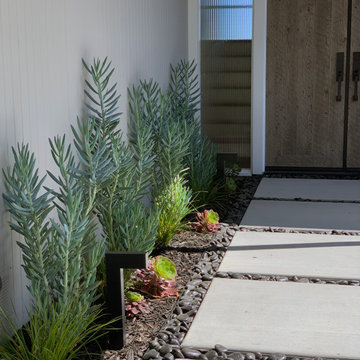 Living Green Wall and Landscape Remodel - Mid-Century Modern Home Sausalito, CA