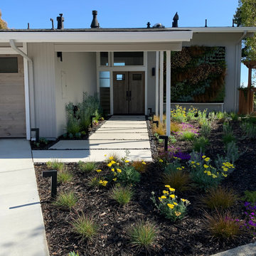 Living Green Wall and Landscape Remodel - Mid-Century Modern Home Sausalito, CA