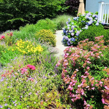 Living Landscapes