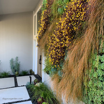 Living  Wall and Landscape Remodel - Mid-Century Modern Home Sausalito, CA