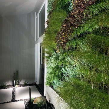 Living Wall - Vertical Garden With Succulents, Grasses and Flowering Plants.