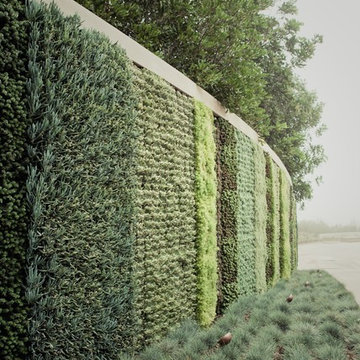 Living Walls