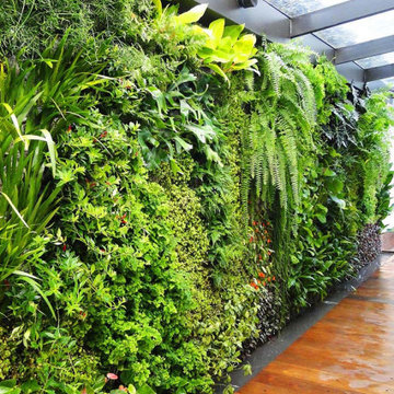 Living Walls