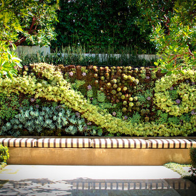 This is an example of a contemporary courtyard landscaping in Los Angeles.