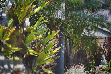 ロサンゼルスにあるエクレクティックスタイルのおしゃれな裏庭 (ゼリスケープ) の写真