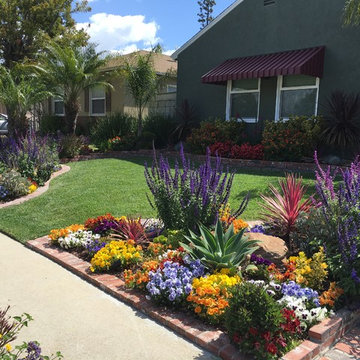Long Beach Drought Tolerant Landscape