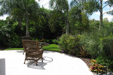Photo of a tropical landscaping in Tampa.