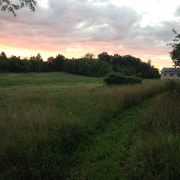 Looking West over the meadow