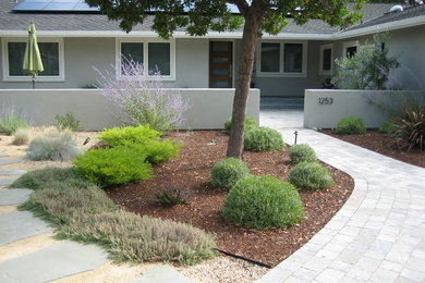 Photo of a landscaping in San Francisco.