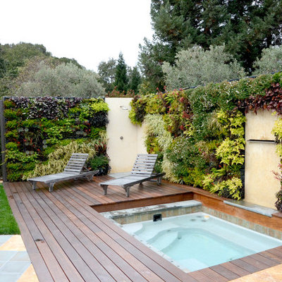 Inspiration for a small contemporary full sun backyard landscaping in San Francisco with decking.