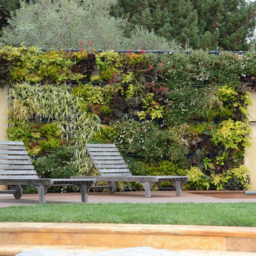 Los Altos Hills