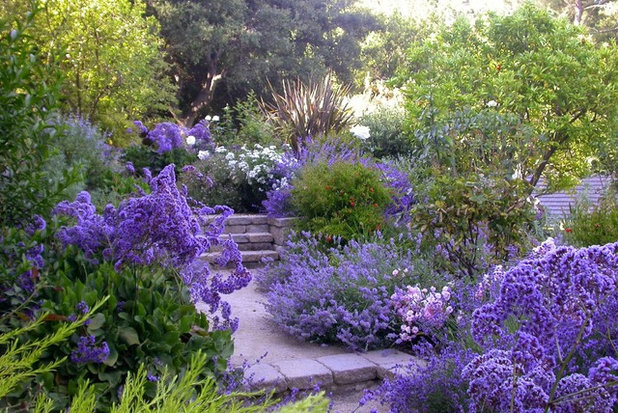 Craftsman Garden by Jenna Bayer Garden Design, Inc.