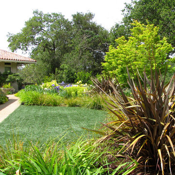Los Altos Hills Mediterranean Garden