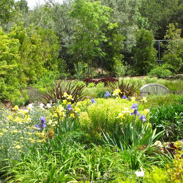 Los Altos Hills Mediterranean Garden