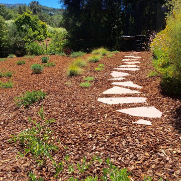 Los Altos Hills Native Garden